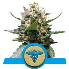 Royal Medic - Royal Queen Seeds